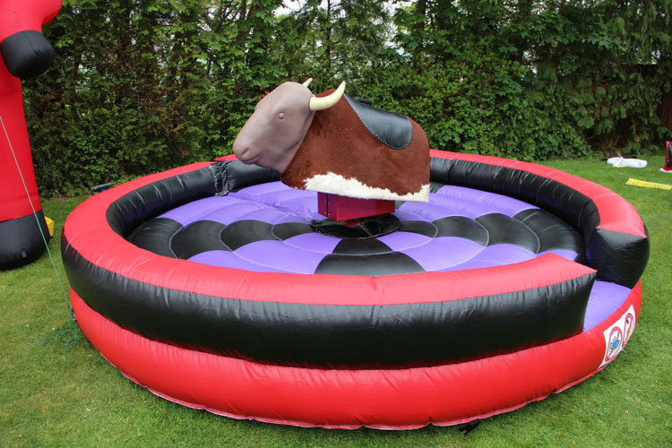 The Rodeo Bull - Image 20