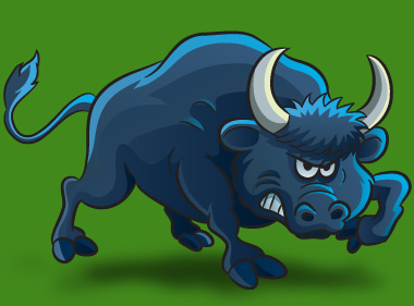 Rodeo Bull Hire North Wales