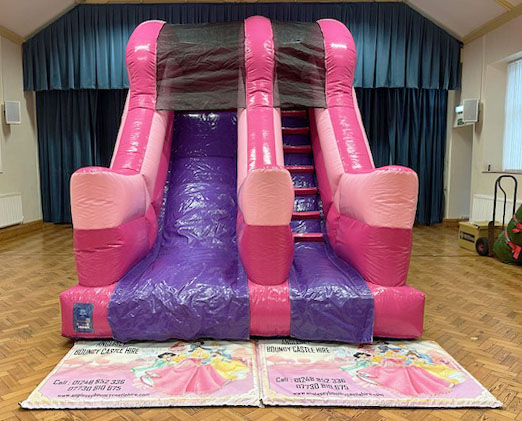 Princess Slide - Image 2