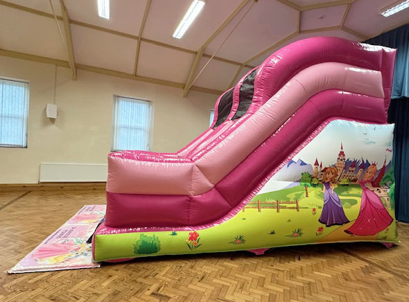 Princess Slide - Image 5